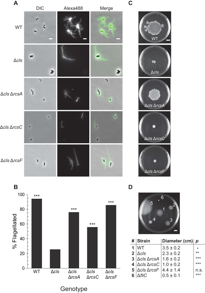 FIG 6