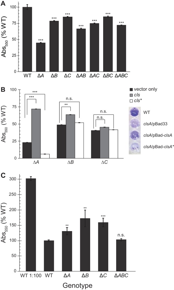 FIG 3