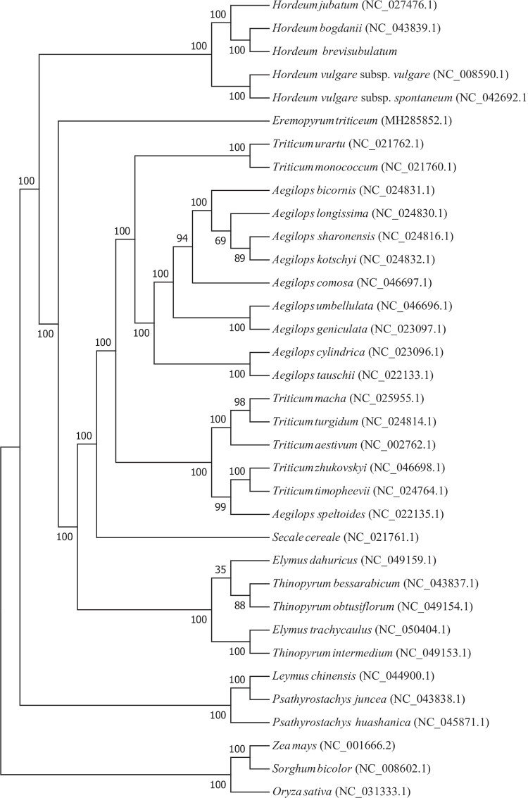 Fig 4