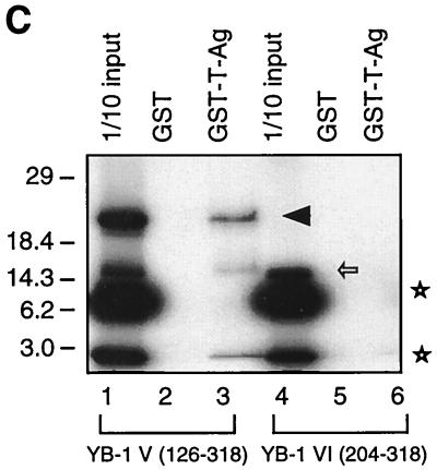 FIG. 7