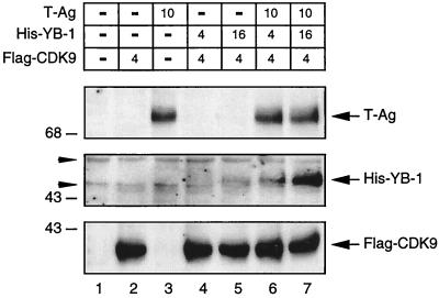 FIG. 5