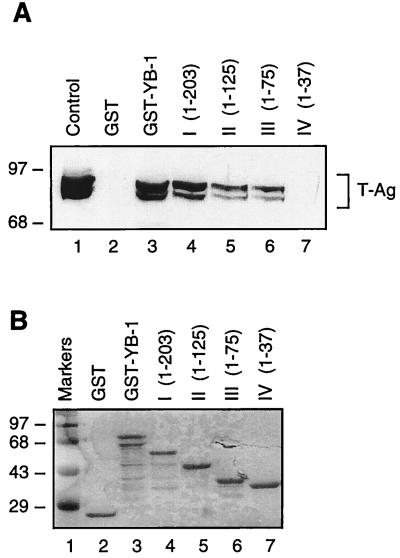 FIG. 7