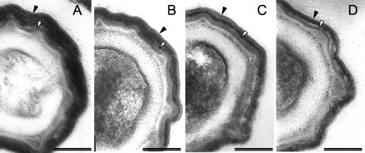 FIG. 8.