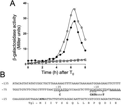 FIG. 3.