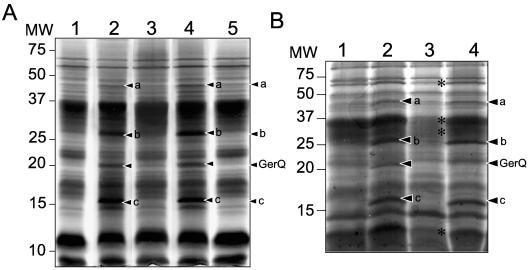 FIG. 5.