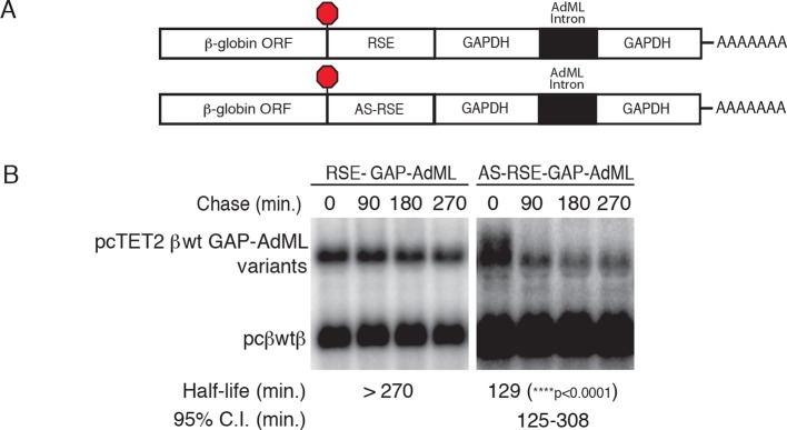 Figure 1—figure supplement 2.