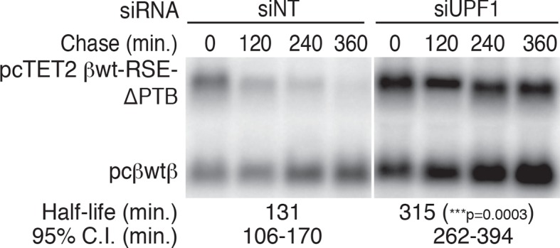 Figure 4—figure supplement 1.