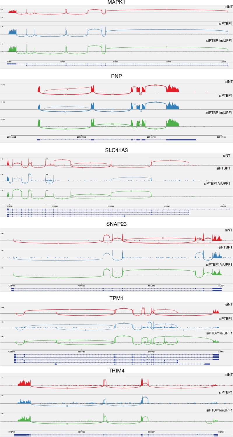 Figure 6—figure supplement 1.