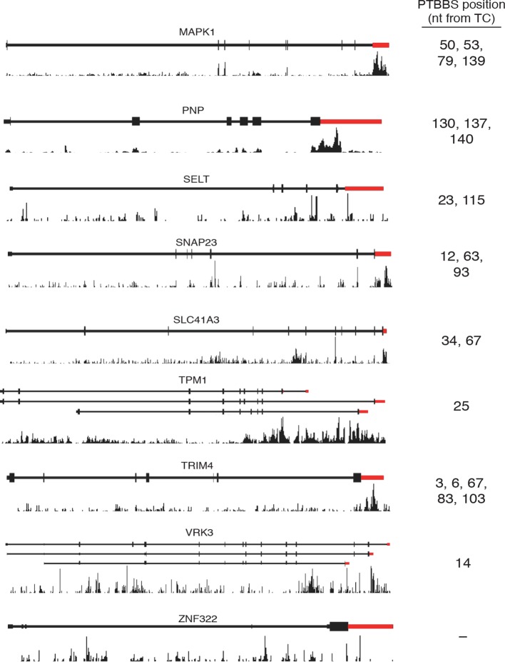 Figure 6—figure supplement 2.