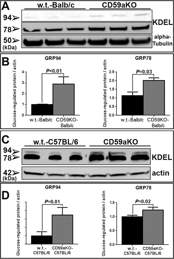 Fig 8