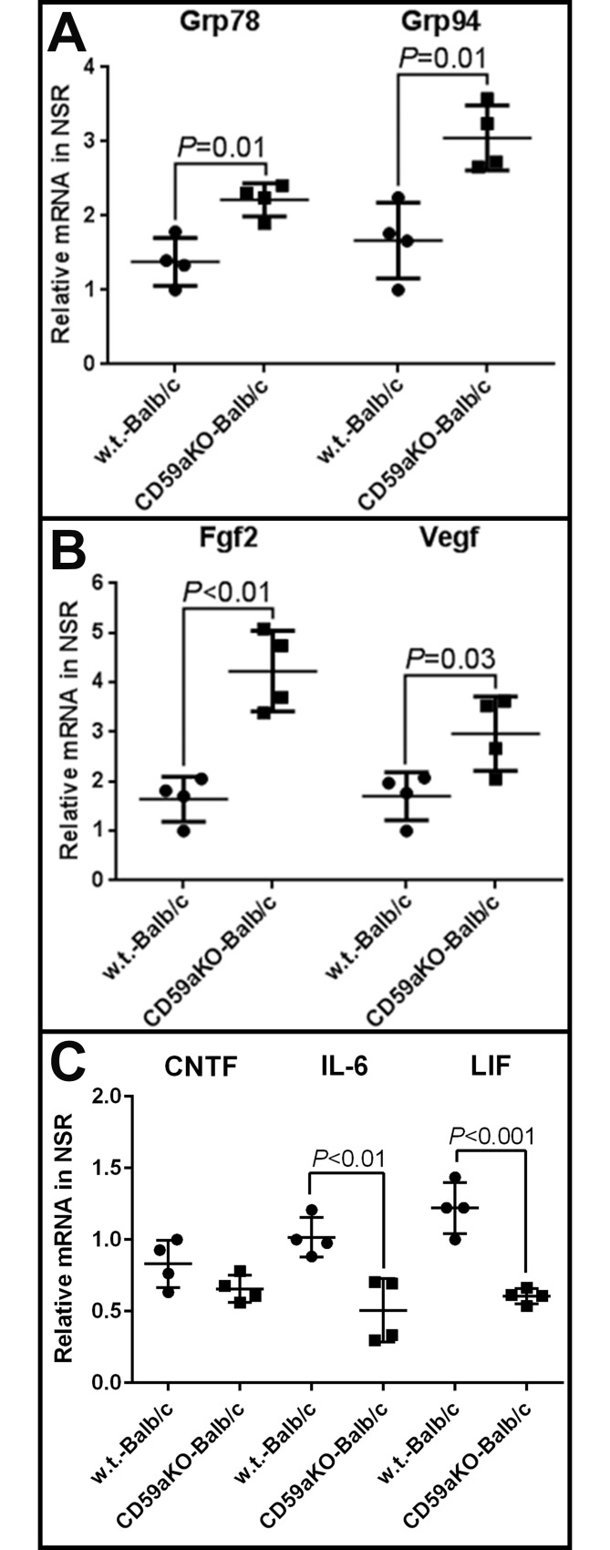 Fig 7