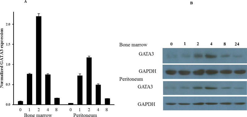 Figure 5.