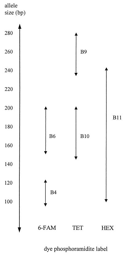 FIG. 5