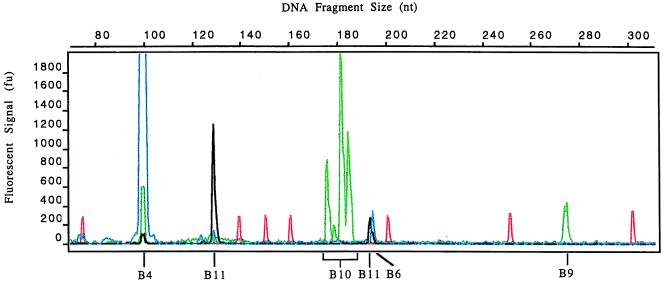 FIG. 7