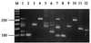 FIG. 6