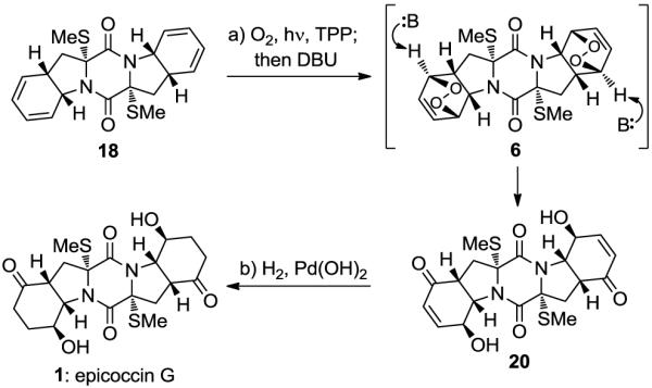 Scheme 3