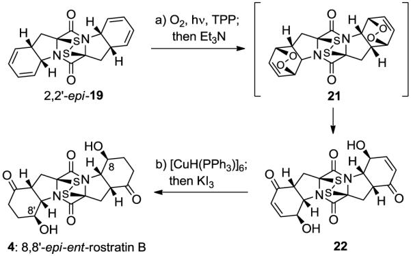 Scheme 4