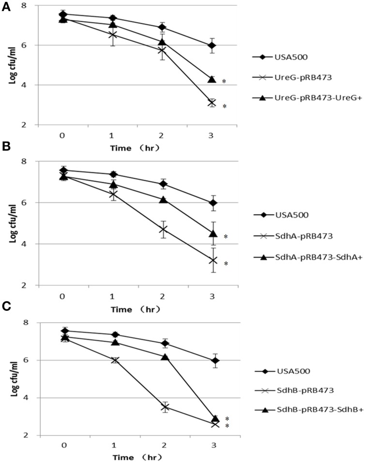 Figure 5