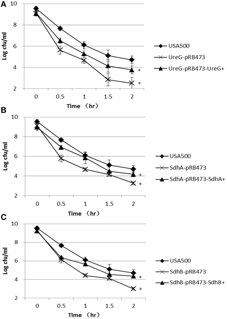 Figure 6