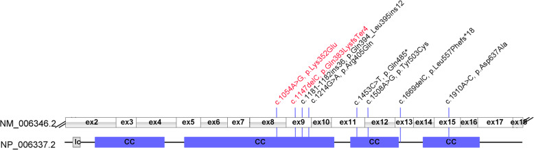 Fig. 3