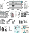 Extended Data Figure 7