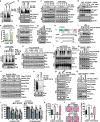 Extended Data Figure 9