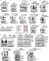 Extended Data Figure 2