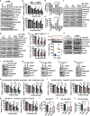 Extended Data Figure 6