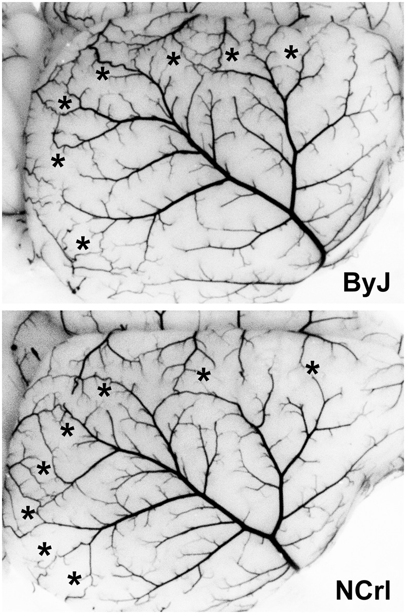 Figure 5.