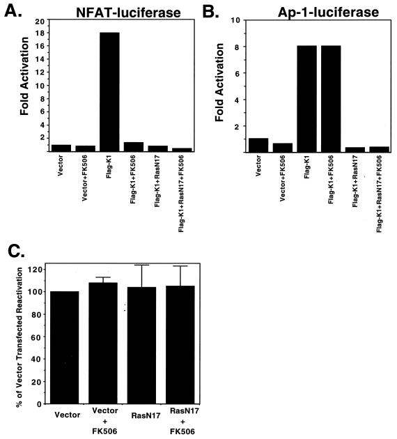 FIG. 6