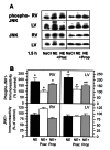 Figure 5)