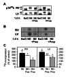 Figure 3)