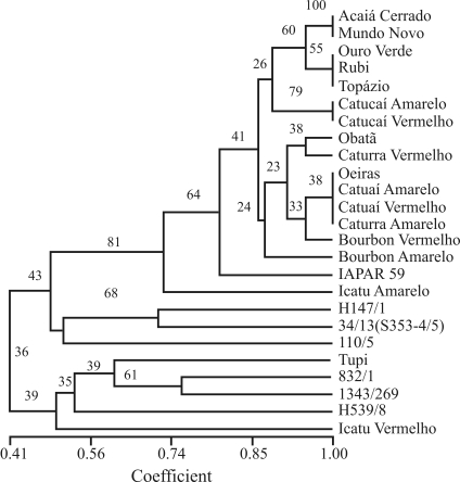 Figure 2