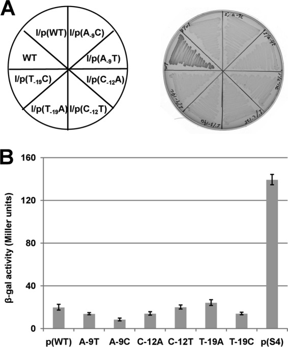 FIG 6