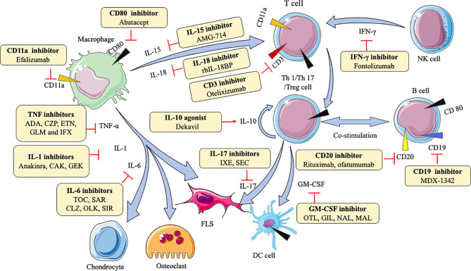 Figure 1