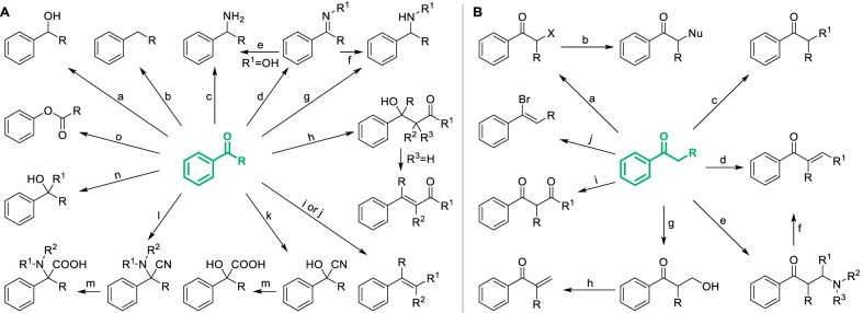 Scheme 12