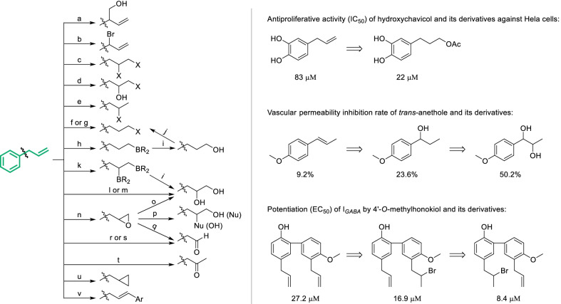 Scheme 6