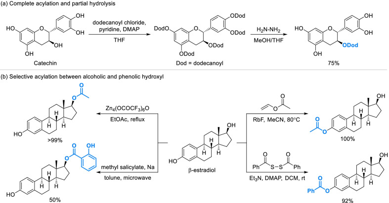 Scheme 2