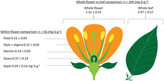 graphic file with name ECE3-13-e10630-g004.jpg