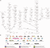 <sc>Fig</sc>. 3.—