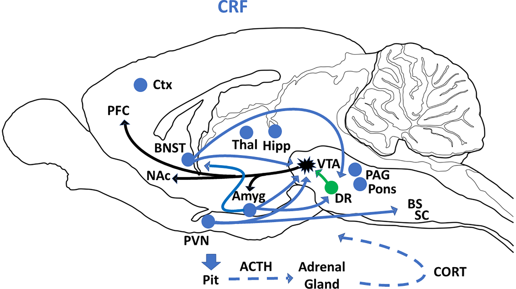 Figure 1: