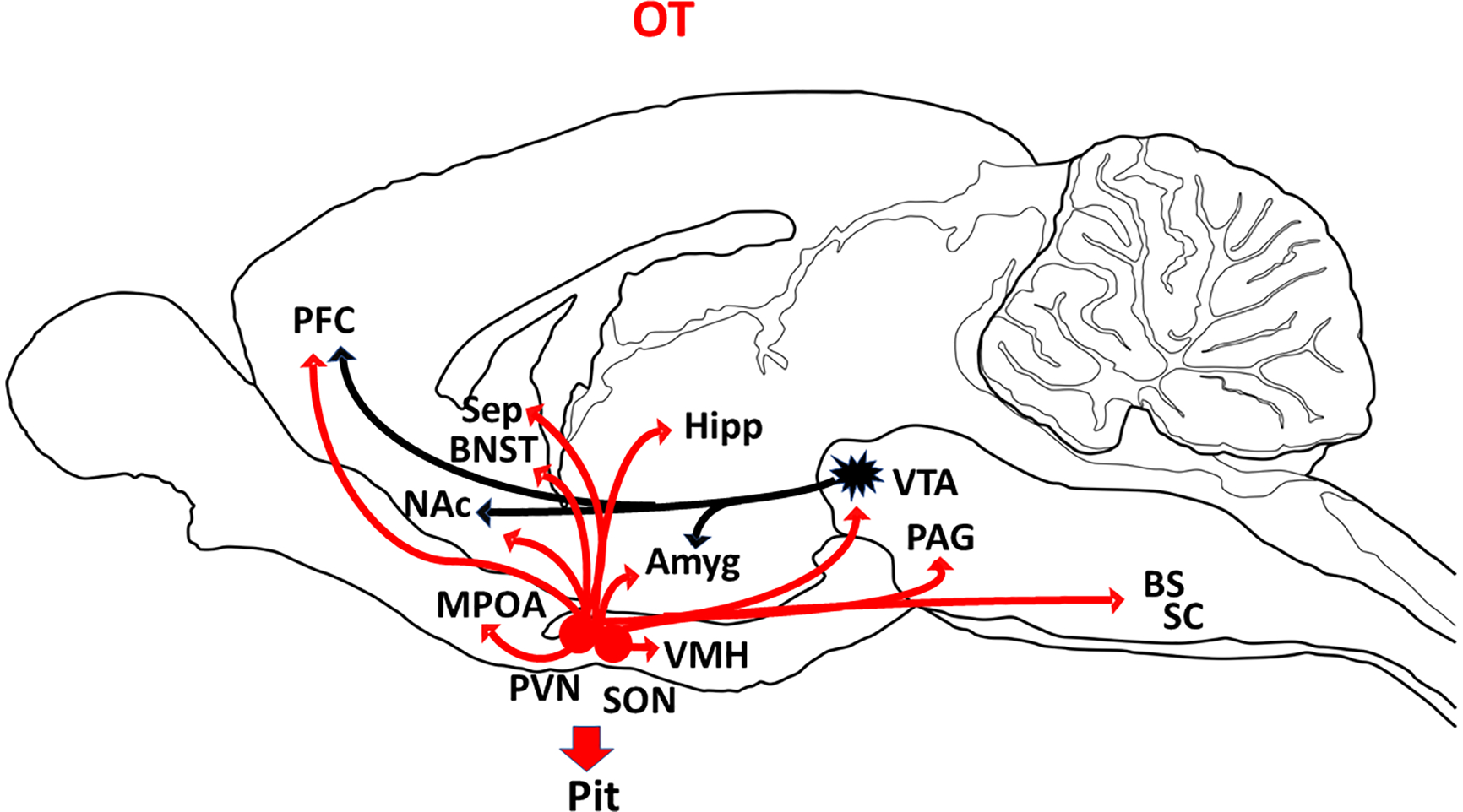 Figure 2: