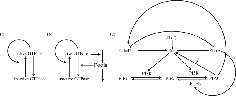 Figure 1.