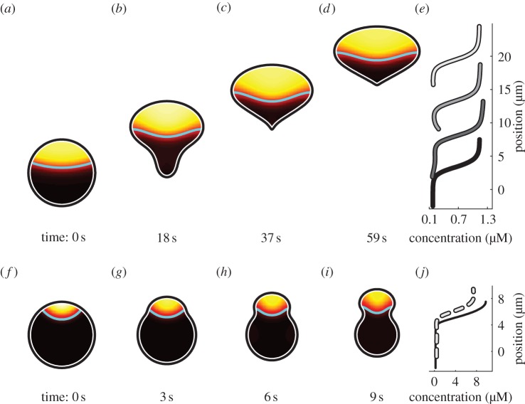 Figure 7.