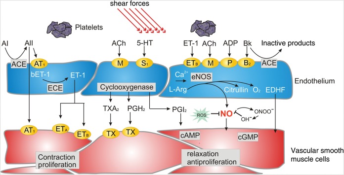 Figure 1