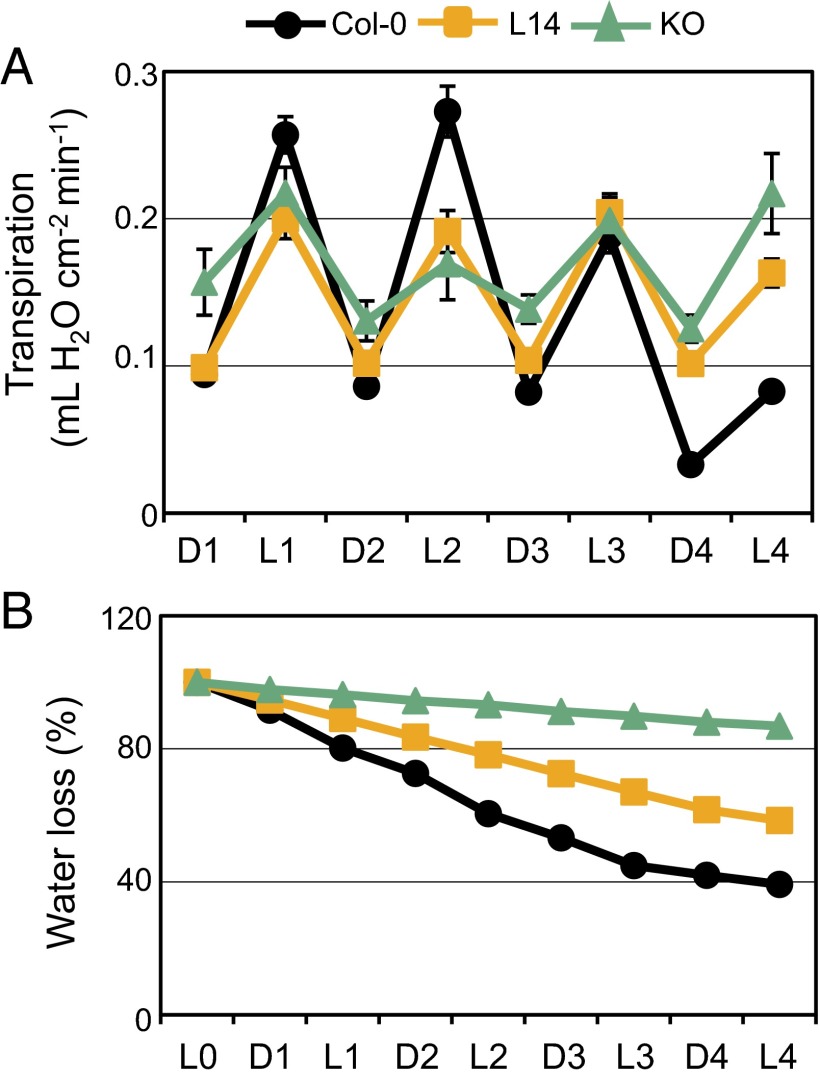 Fig. 3.