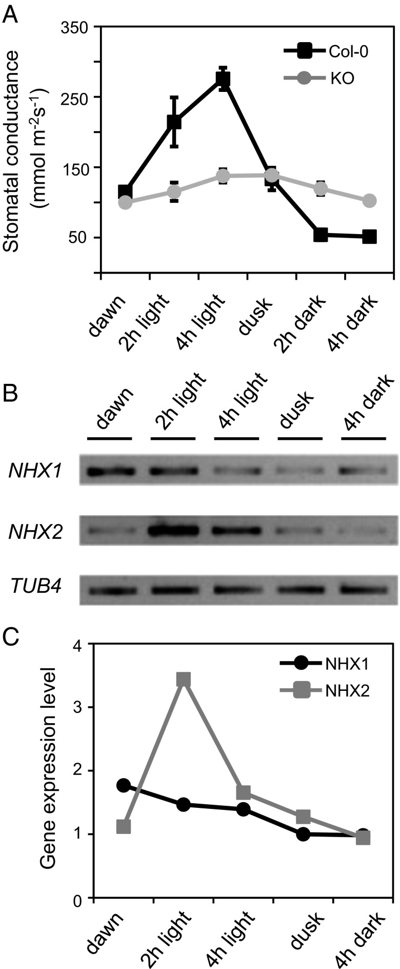 Fig. 2.