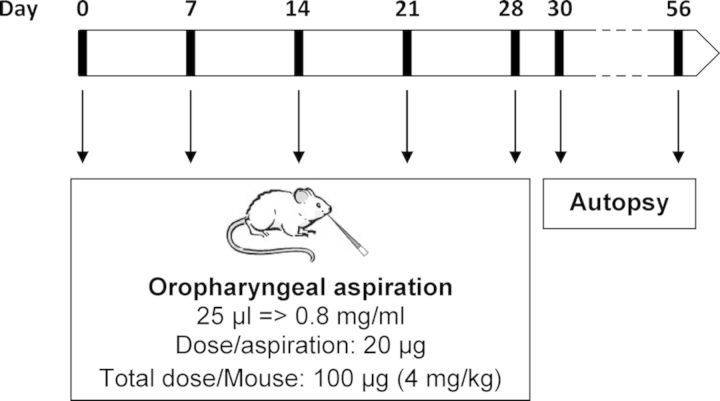 FIG. 1.