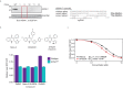 Figure 2—figure supplement 1.