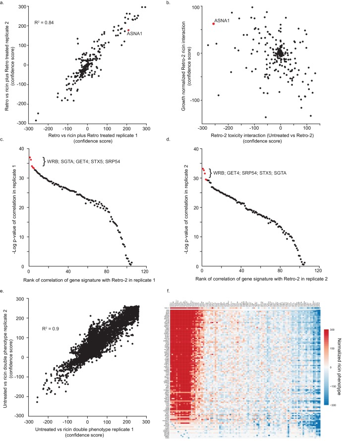 Figure 1—figure supplement 1.